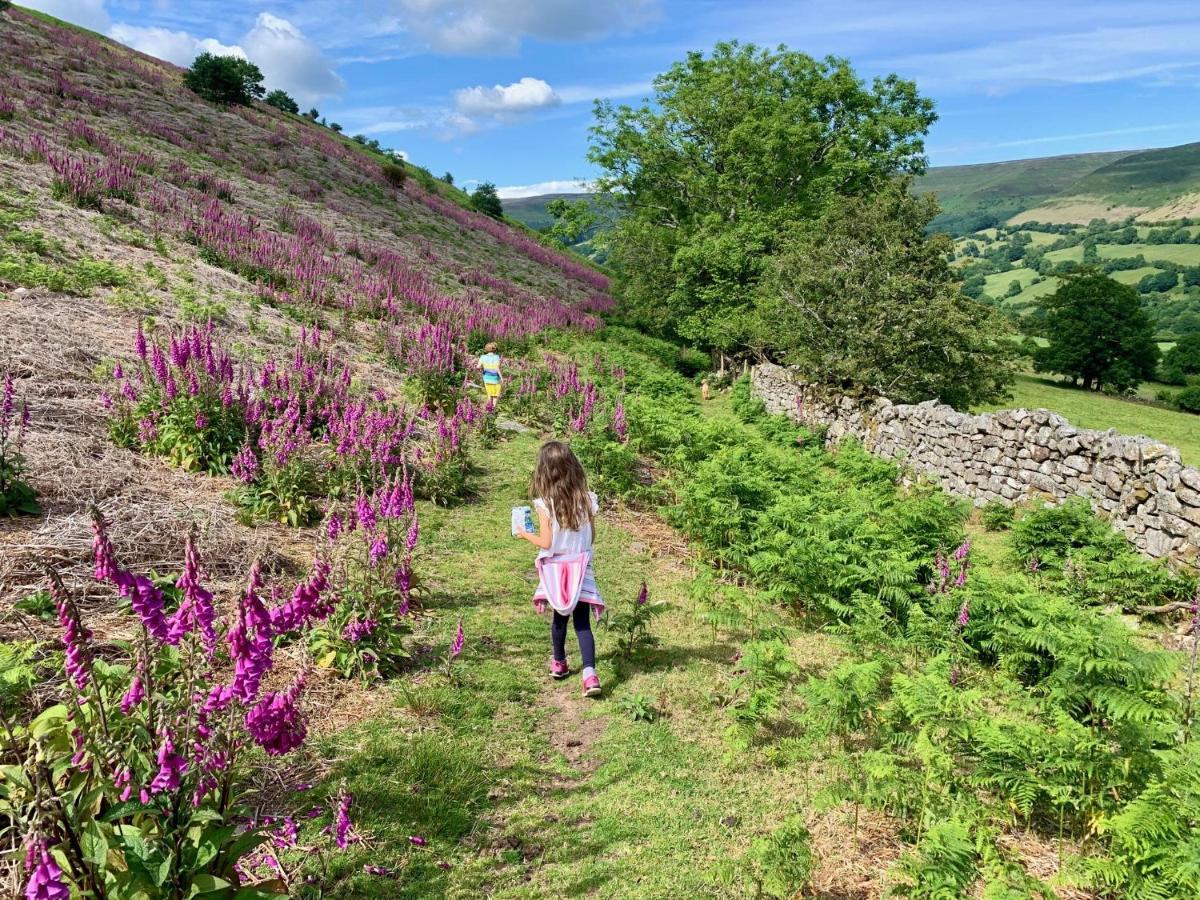 Black Mountains Stylish Hideaway, Nr Crickhowell Llanbedr  Εξωτερικό φωτογραφία